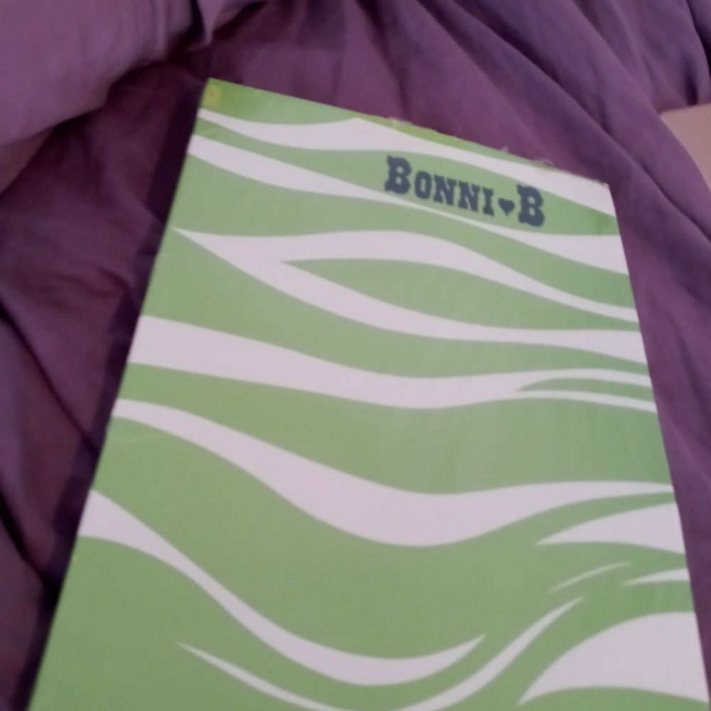 1960s vintage nylon stockings!